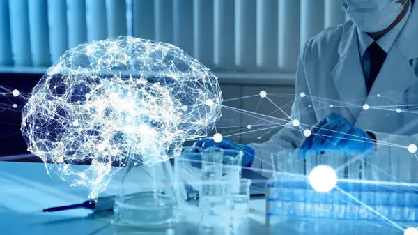 A importância da ergonomia cognitiva para a saúde e produtividade no ambiente de trabalho